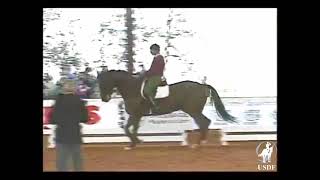 Lengthening and Medium Trot