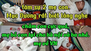 Dâu việt đòi bỏ về VN thực hư thế nào?