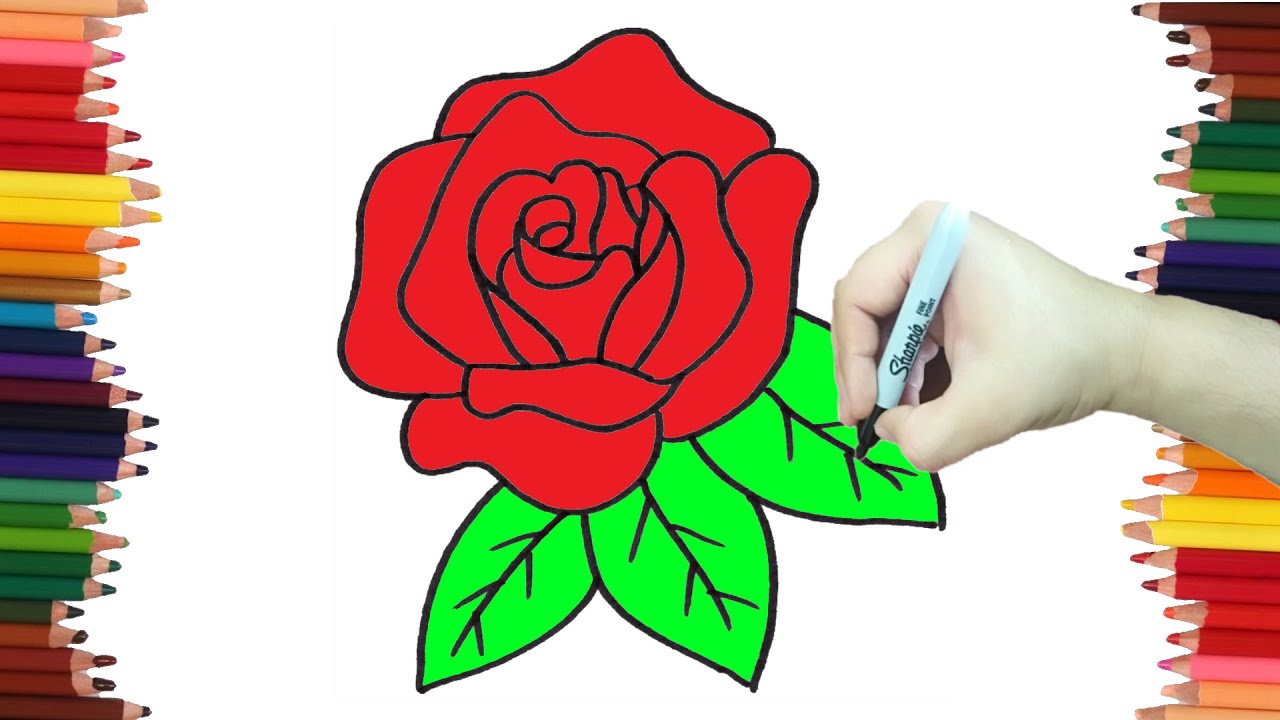 Como Dibujar Una ROSA Realista Paso A Paso | Dibujos Faciles - YouTube