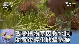 改變植物基因救地球! 助解決暖化缺糧危機｜FOCUS午間新聞 20230315 @TVBSNEWS01