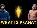 What is Prana?