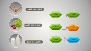 الكربوهيدرات - Carbohydrates