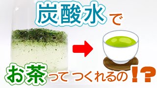 【#おしえてTT】第8回 炭酸水でお茶はでるの？ ｜ #IeTimeOEN 家タイム応援プロジェクト ｜ 伊藤園