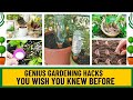 Genius Gardening Hacks That Actually Work