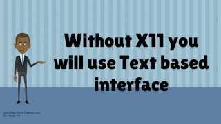 What Is X11?