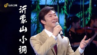 【CUT】歌曲费玉清《沂蒙山小调》 #春晚 #歌曲