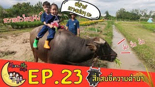 MommeChidjun EP 23 : วิถีชาวนา ดำนา ขี่ควาย สไลด์เดอร์โคลน สุดยอดความสนุกกับธรรมชาติล้วนๆ