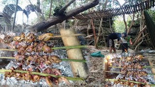 ปีนนกกินในป่า/ຈາມນົກກິນຢູ່ປ່າ