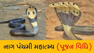 નાગ પંચમી મહાત્મ્ય અને પૂજન વિધિ ગુજરાતીમાં | nag panchmi sampurn mahatmy ane pujan vidhi