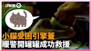 小貓受困引擎蓋一整天！警察開罐頭引誘成功救援｜流浪貓｜奶貓｜精選影片