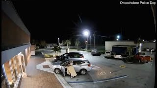 Elderly Woman Nearly Run Over by Purse Thief in Florida