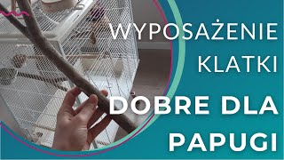 Klatka dla Twojego pierzaka - o czym pamiętać? Jak wyposażyć klatkę? \