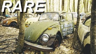 Abandoned Volkswagen Beetle Graveyard (RARE)