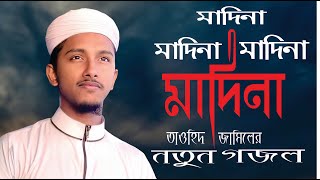 Madina | Tawhid Jamil | Kalarab Shilpligosthi | Bangla Islamic Song 2020 | Islamic Rtv