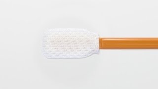 Texwipe TX801 Swab