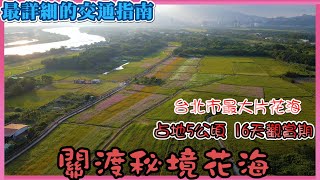 2021 關渡秘境花海 I 占地5公頃 為期16天賞花期 I 台北市最大片波斯菊花海 I 導航請搜尋【八仙抽水站】I 最詳細的關渡花海交通指南