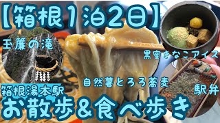 【箱根1泊2日】箱根湯本駅散策\u0026甘味処と美味しいお蕎麦【たまだれ庵とはつ花そば】