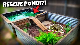 Rescue Pond Gets Makeover! (Rescue Turtle Enclosure)