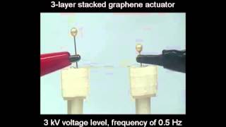 Transparent and Stretchable Graphene-based Actuator