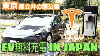 Teslaモデル3で行く| EV充電スポット#46 | 井の頭恩賜公園【CHAdeMO急速】