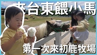 台東EP2｜最新網美溫泉園區，竟然還有划水道！｜初鹿牧場餵小馬竟然？｜台東最夯親子飯店禾風新棧｜豬豬隊友 Scott \u0026 Wendy