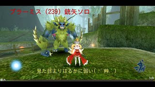 【トーラムオンライン】ブラーミス(239) 銃矢ソロレベリング