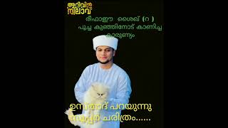 ✨️മഹാനായ രീഫാഈ ശൈഖ് (റ )സഹജീവികളോട് കാണിച്ച  കാരുണ്യം ✨️ജീവിതത്തിൽ നാം പകർത്തേണ്ട പാഠം...