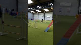 20171119 RONCHIN AURELIEN KODA AGILITY STANDARD