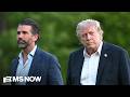 'Mar-a-Lago Mafia, The Epstein Class': Walkinshaw on those protecting Trump IRS audit immunity