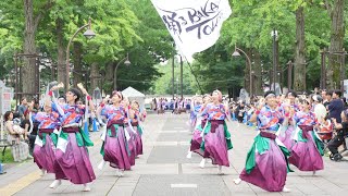 踊るBAKA!Tokyo『舞道』 📍よさこい祭りin光が丘公園 (パレード①) 2024-07-14T15:42