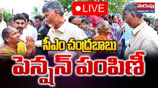 సీఎం చంద్రబాబు పెన్షన్ పంపిణీ🔴LIVE : CM Chandrababu Pension Distribution | Merupu Tv