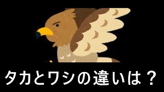 9割が知らない面白くておどろきの雑学