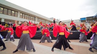 [4K] 有閑踊り子一座 飛舞人　堺よさこいかえる祭り 2019