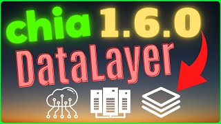Chia 1.6 DataLayer Review - Web3 Data Sync Verification, Opt In, Pub-Sub Data Layer Crypto