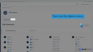 How to increase or decrease PHP Memory Limit via CloudLinux Selector in Plesk BLUE ARCTIC