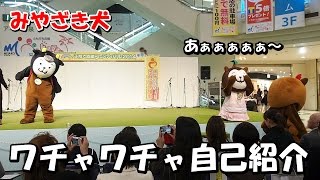 【みやざき犬】むぅちゃんが！ワチャワチャ自己紹介