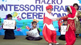Pakistan's Culture and Folk  Songs by  Bahria Foundation School & College HAZRO Campus - PAKISTAN