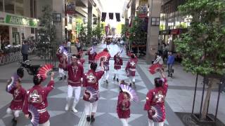 まつり宝山20140511一番踊り　南町ー青葉通り