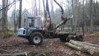 Kelly Tree Care with thier Vimek forwarder