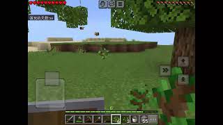 Minecraft Public Stream I (10)