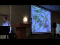 seed and seed borne diseases kevin zaychuk 20 20 seed labs farming smarter agronomy update 2011