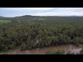 leafgold. weir walsh river dimbulah