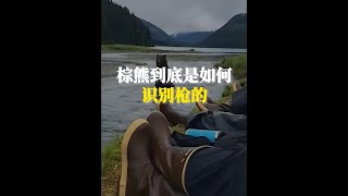 棕熊真的會秒慫，它到底是如何識別槍的？ #科普一下 #神奇動物在抖音 #熊為什麼認識槍 #抖音知識年終大賞