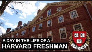 A Day in the Life of a Harvard Freshman