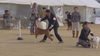 2グループ牡 徳島ファンシャーズクラブ 2019.11.30