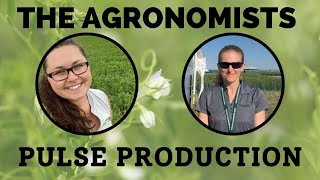 The Agronomists, Ep 178: Pulse production with Dr. Michelle Hubbard and Laura Schmidt