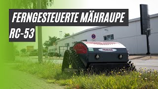 Ferngesteuerte Mähraupe Ferrari RC 53 beim Mähen von Hochgras und Gestrüpp