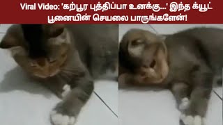 Viral Video: 'கற்பூர புத்திப்பா உனக்கு...' இந்த க்யூட் பூனையின் செயலை பாருங்களேன்!