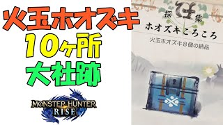 【モンハンライズ】 火玉ホオズキ １０ヶ所 〔大社跡〕 ホオズキころころ攻略 【MHRiseモンスターハンターライズ】