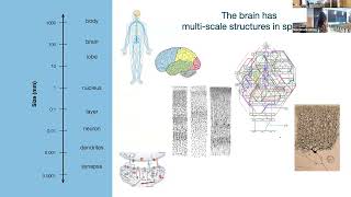 NeuroHackademy 2023: Bing Brunton: Neural Decoding in the Wild